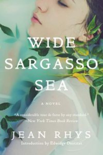 Wide Sargasso Sea (외국도서) / 9780393352566 (해외주문 2~4주 걸립니다.)