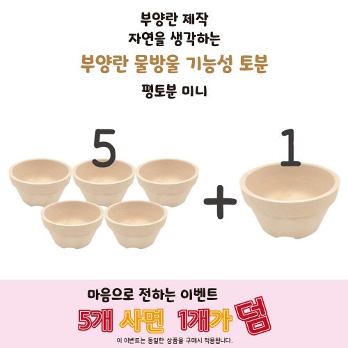 평도분 미니  5+1