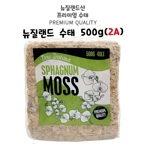 뉴질랜드 수태 500g