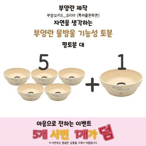 물방울 평토분 대 5+1