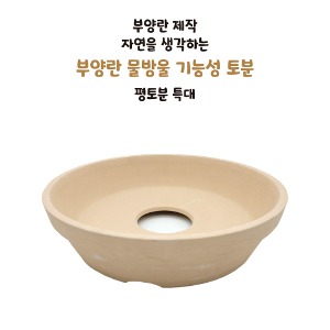 평토분 특대  [ 부양란 제작화분 ]