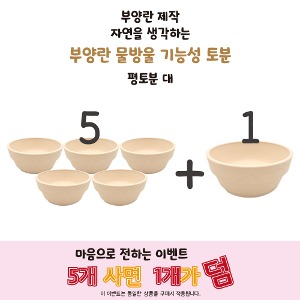 평도분 대 5+1