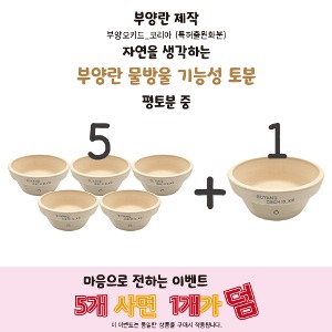 물방울 평도분 중 5+1