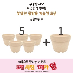 깊은분 대  5+1