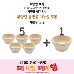 물방울 평도분 미니 5+1