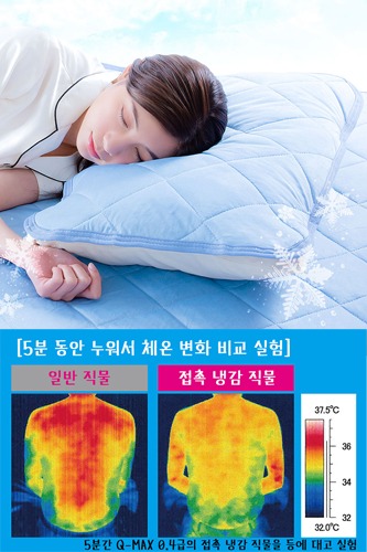 Q-MAX 접촉 냉감 항균 방취 시원한 (베개 / 침대 매트) 패드 / 2종류