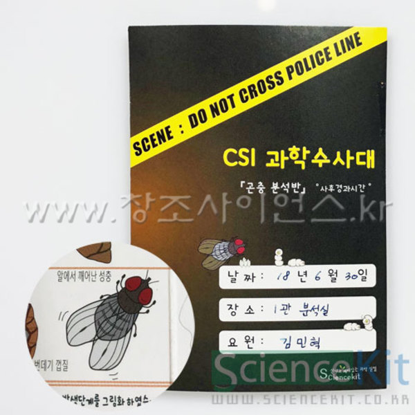 CSI과학수사대;『곤충분석반』사후경과시간[4인용]