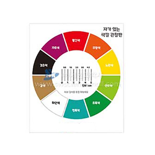 자가 있는 색깔 관찰판(10색상환)(코팅부 5매입)