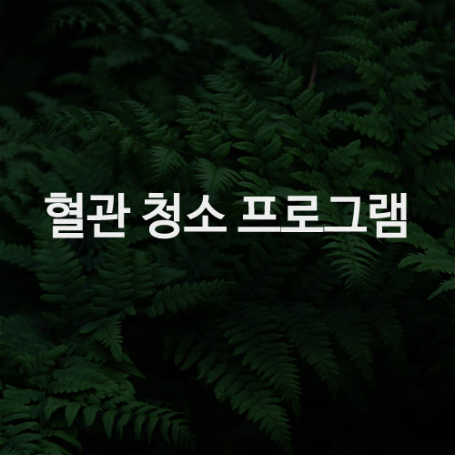 상품설명