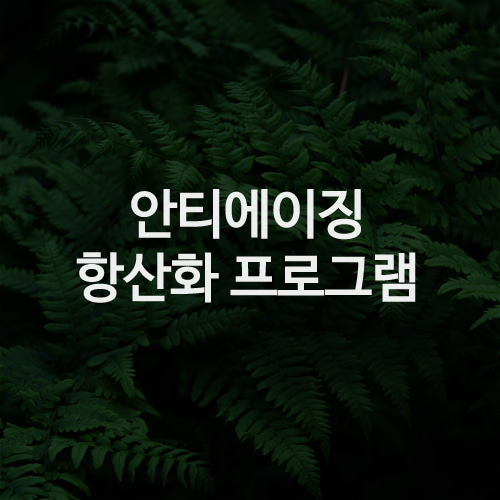 상품설명