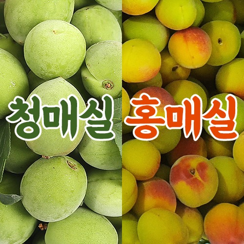 광양 청홍매실 농장 청매실, 황매실 10kg