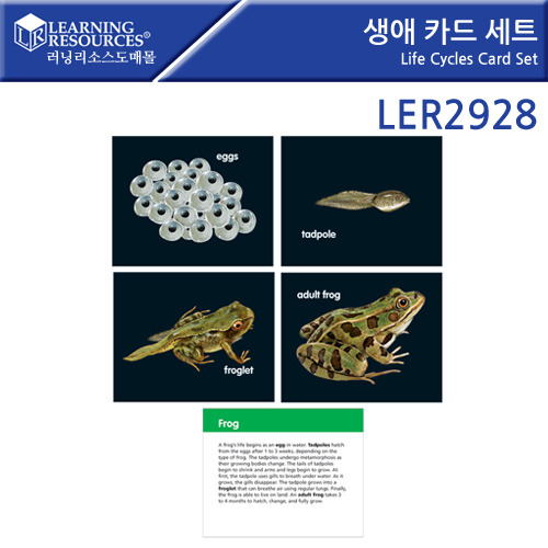 B2s 생애카드세트(LER2928)