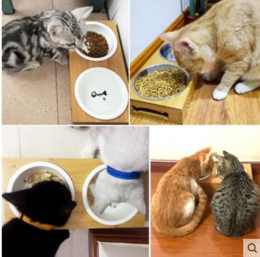 [해외] 가정 생활용품 퀄리티 다용도 고양이 스테인리스강 고양이식기 밥그릇 스몰사이즈