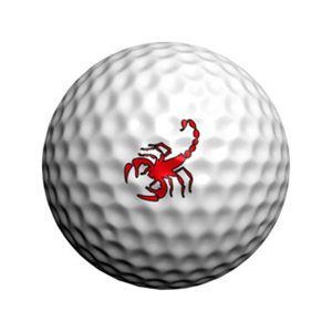 GP 개성만점 Scorpions 모델(색상랜덤) 골프 데코레이션 볼 스티커 필드용품