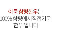 이룸함평한우