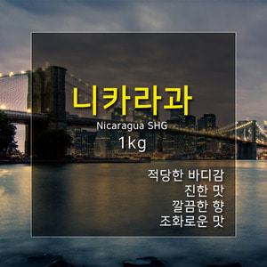 제로커피 니카라과 SHG 1kg