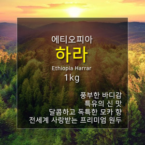 제로커피 에티오피아 하라 1kg