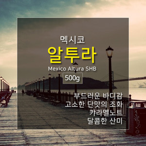 제로커피 멕시코 알투라 500g