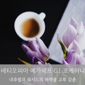 제로커피 에티오피아 예가체프 G1 코케허니 200g