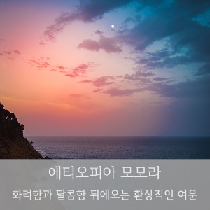 제로커피 에티오피아 모모라 200g