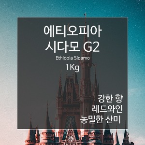 제로커피 에티오피아 시다모 G2 1kg