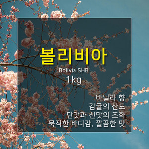 제로커피 볼리비아 SHB 1kg