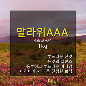 제로커피 말라위 AAA 1kg