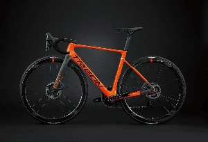 [예약 주문/ 런칭이벤트/ 15% 할인 적용되어 있음.] TRIGON AR01 // SPEED-ORANGE