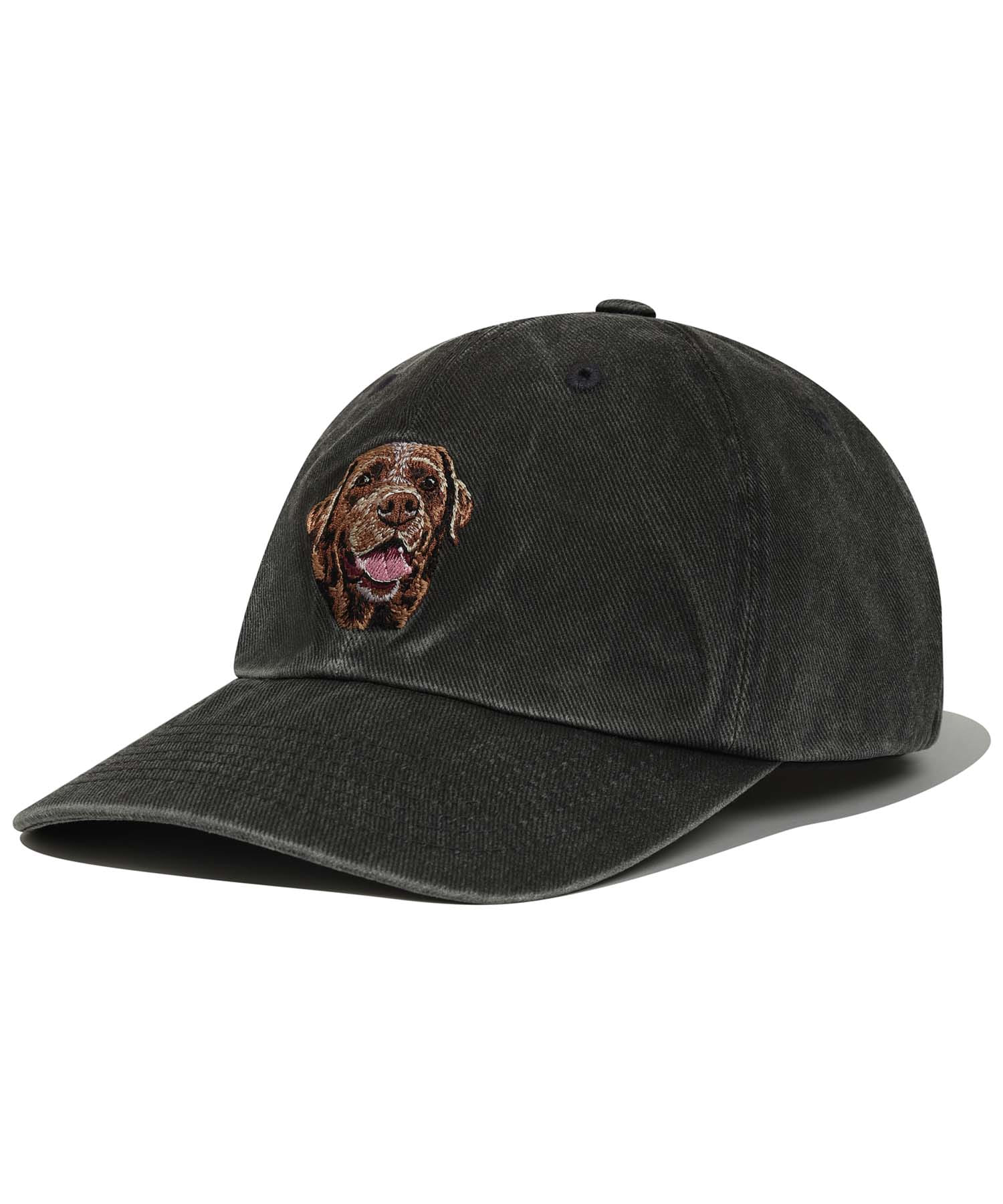 CHOCO LAB BALL CAP [CHACOAL GRAY]