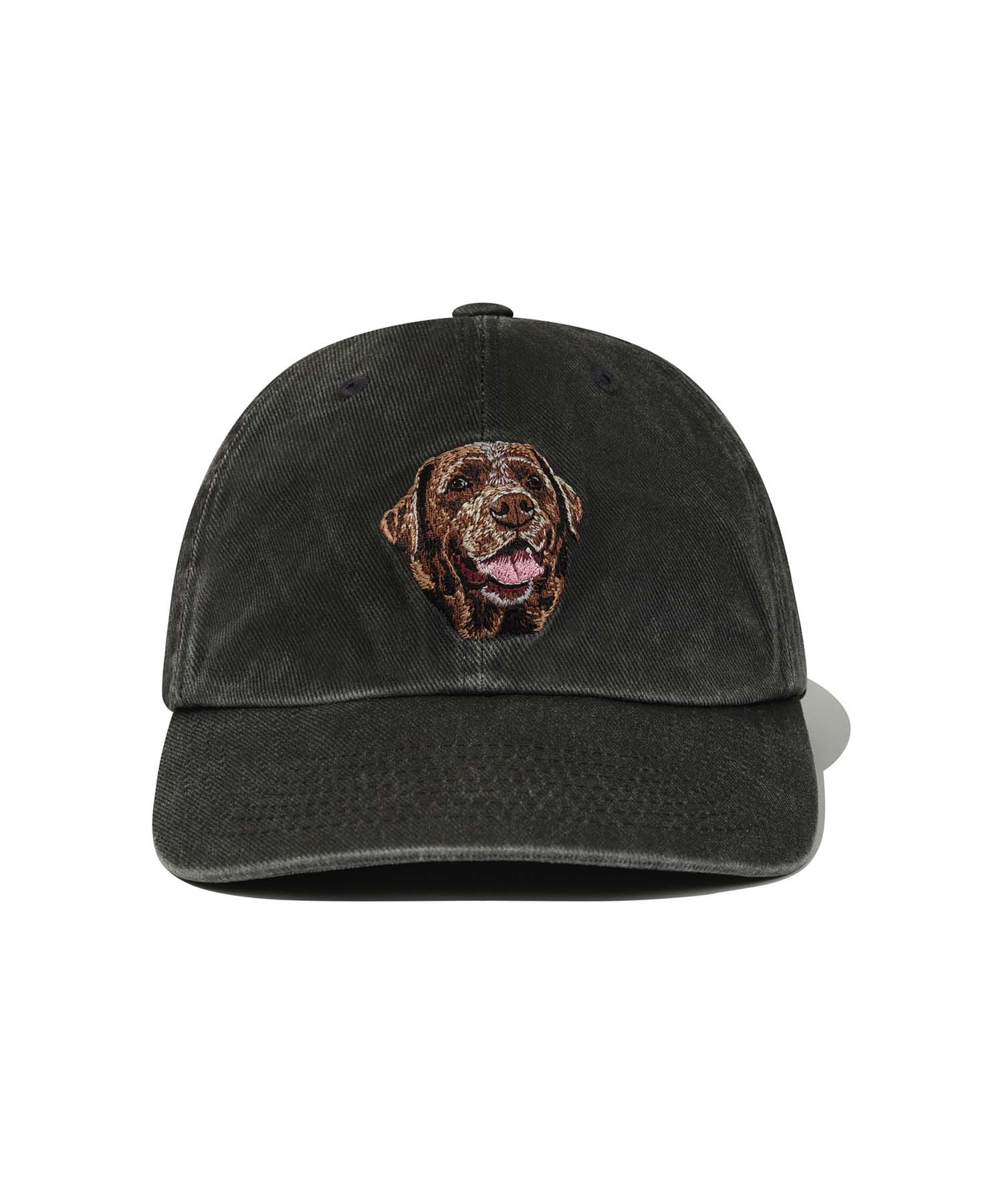 CHOCO LAB BALL CAP [CHACOAL GRAY]