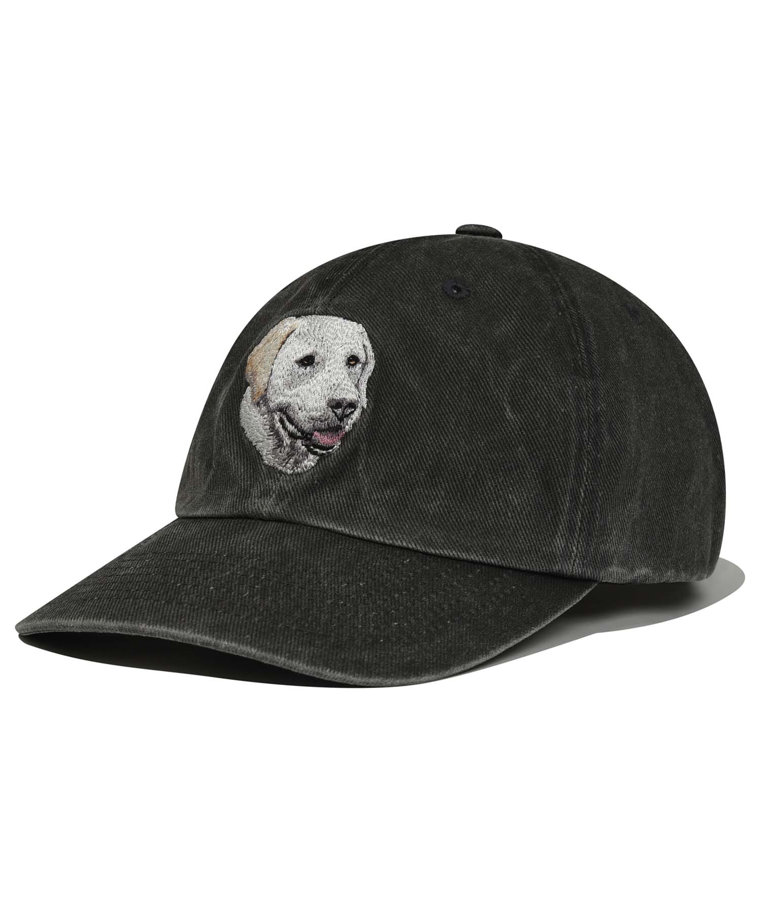 WHITE LAB BALL CAP [CHACOAL GRAY]