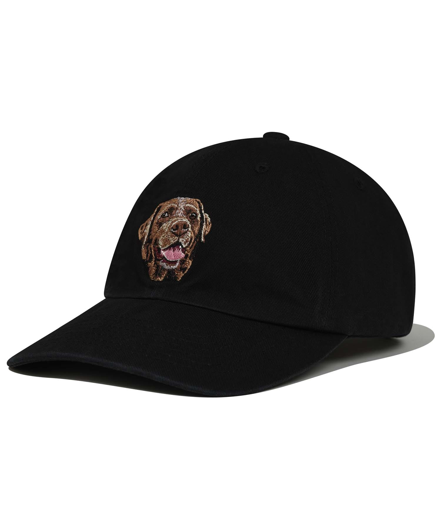 CHOCO LAB BALL CAP [BLACK]