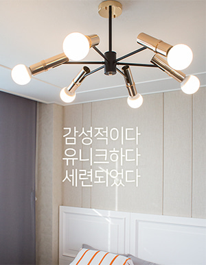 아드리안 6등 직부시선을 사로잡을 수 밖에 없는 매력적인 Design