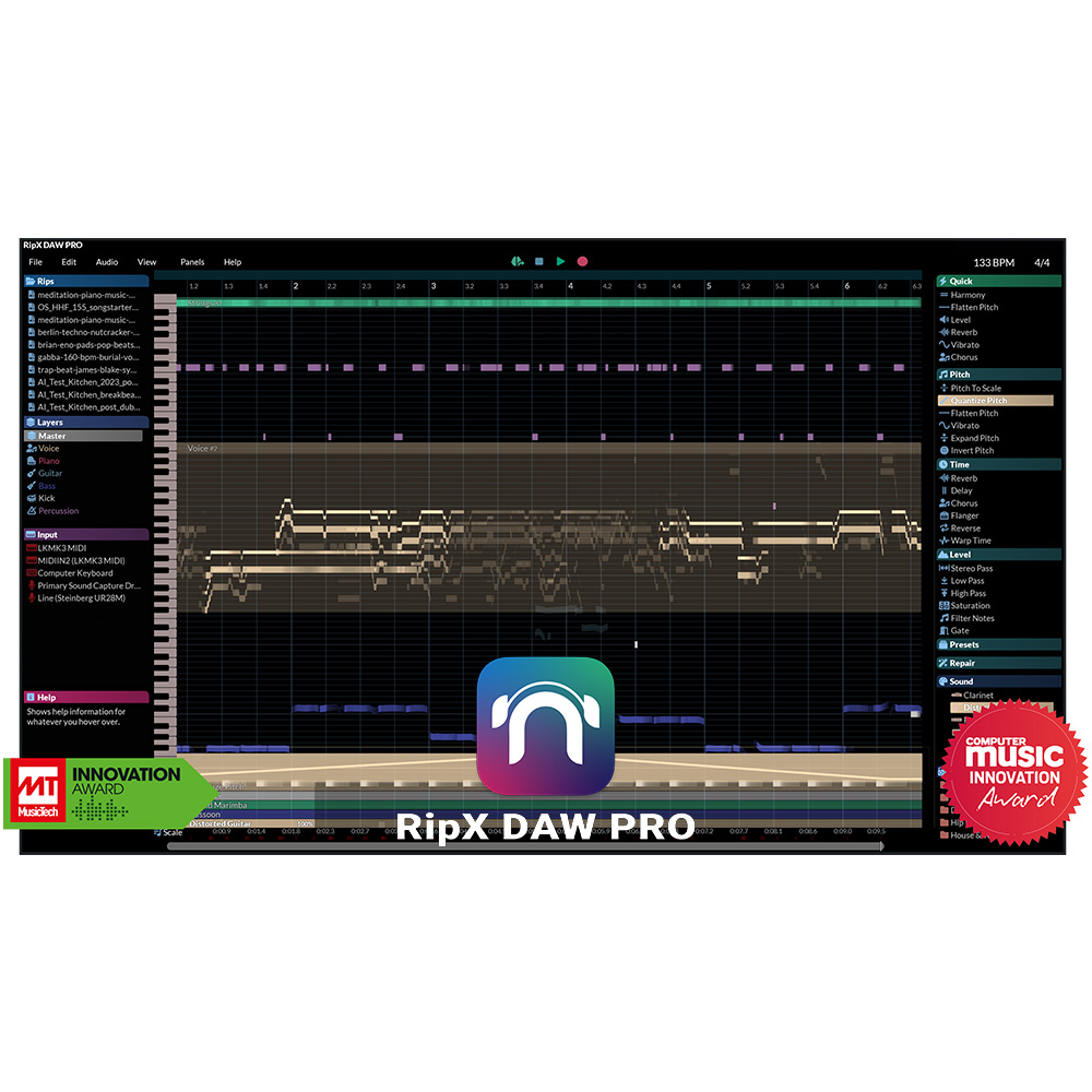 RipX DAW PRO (SKU:1350-1001:4900)