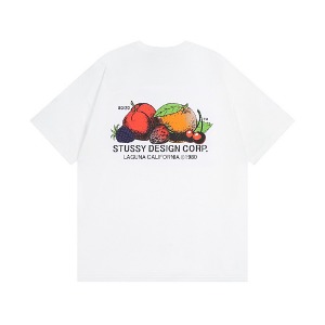 STUSSY 스투시 FRUIT 로고 반팔티셔츠