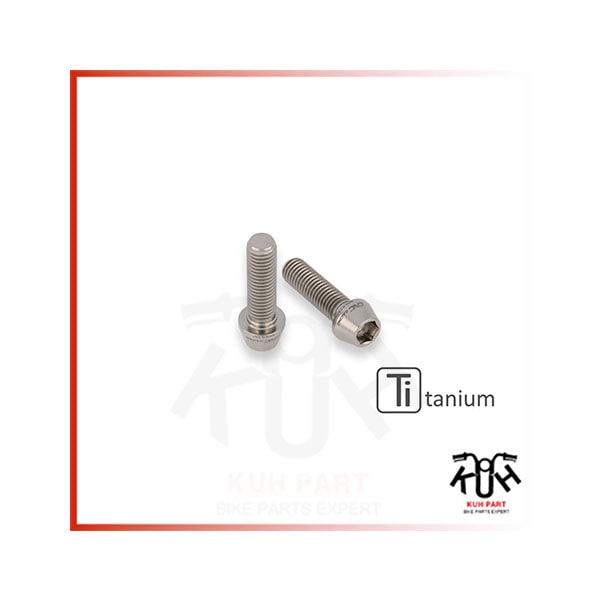 CNC RACING ] 두카티 스트리트파이터V4/S (20-) Rear Hub Swingarm Pinch Bolt (2 pcs) - TITANIUM KV437X