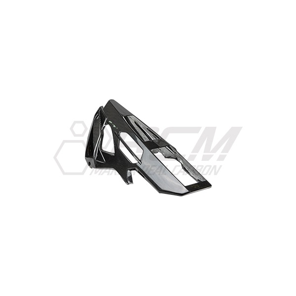 [RCM 카본] BMW M1000R (2023-) 언더 벨리팬 BW#48