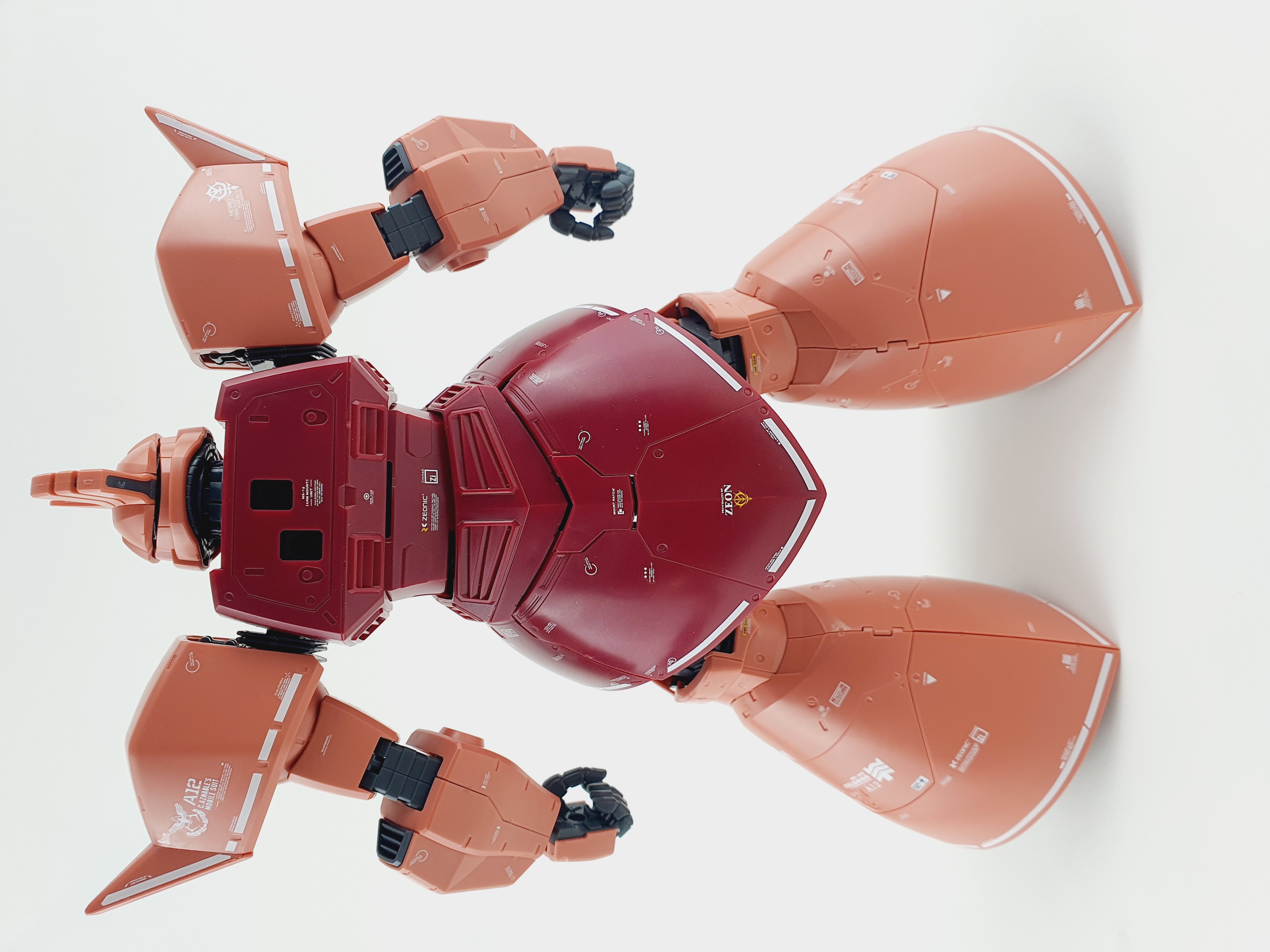 MG GELGOOG DELPI CUSTOM WATER DECAL - DelpiDecal