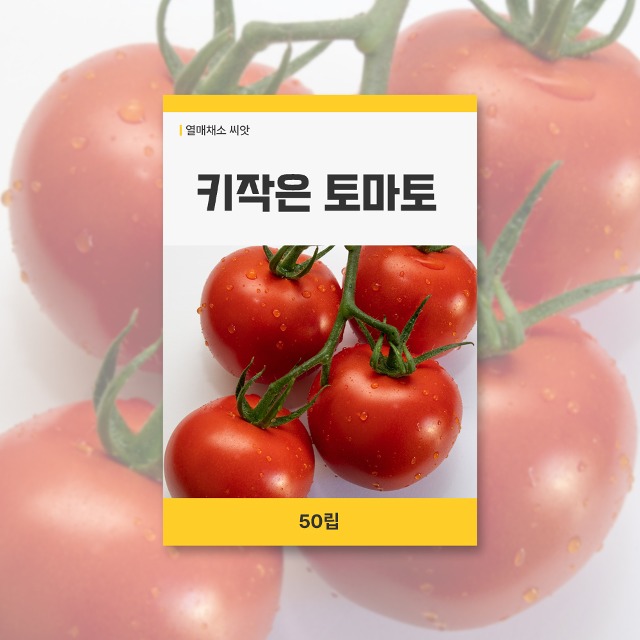 키작은토마토 씨앗