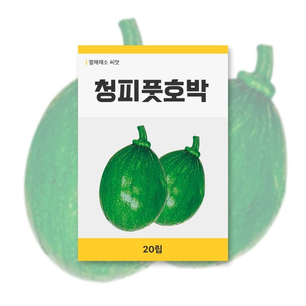 청피풋호박 씨앗