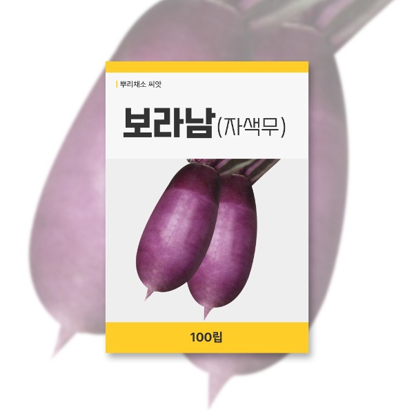 보라남(자색무) 씨앗