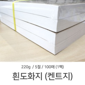 5절 흰도화지 켄트지 220g 100매 1팩 미술용지 도화지