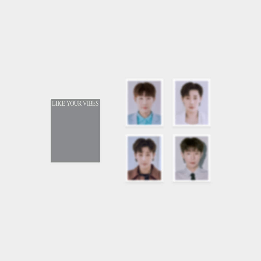 2023 KIM SUNG KYU CONCERT [LV : LIKE YOUR VIBES] ID CARD SET