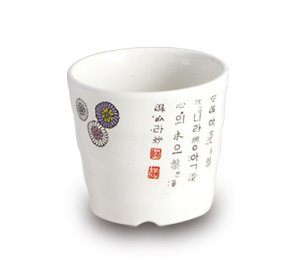 국화 신골컵