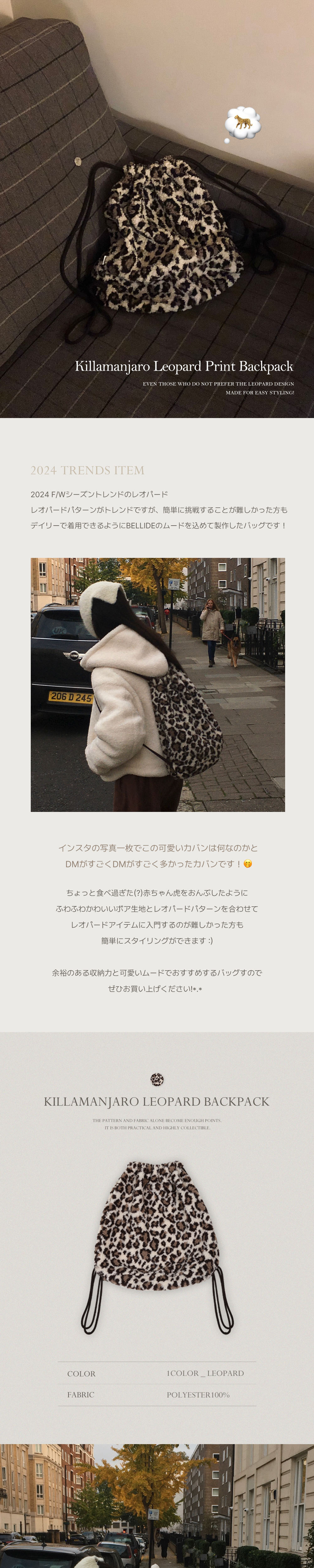 付属品 詳細画像-S1L7