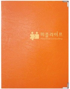 보험증권화일전문, 화일담아, 아인몰