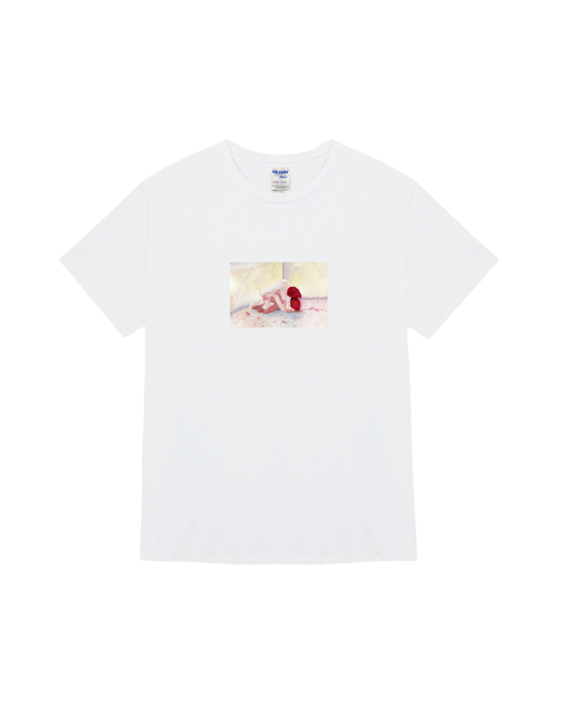 Leftover cake t-shirt 냉장고에 남은 케이크 (2 sizes)