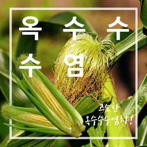 옥수수수염(국내산)