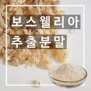 보스웰리아 추출분말