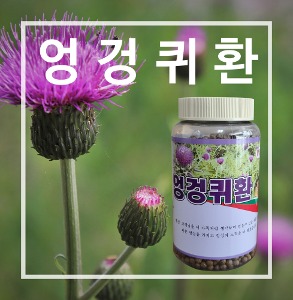 엉겅퀴환골드 250g